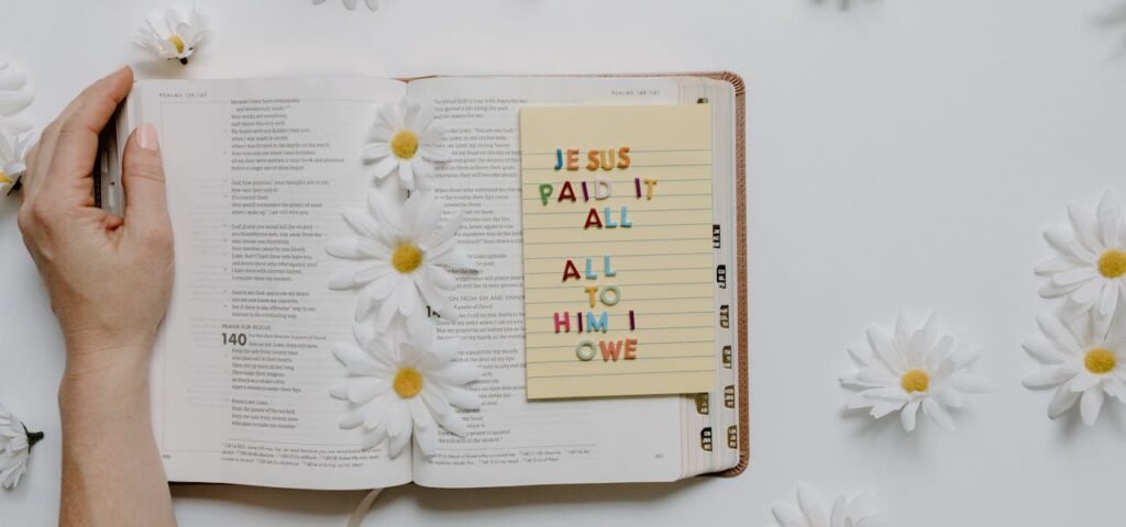 pexels photo 8383646